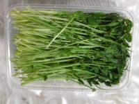 火锅豌豆苗（盒）